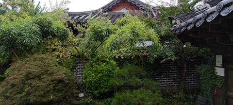 Hanok garden